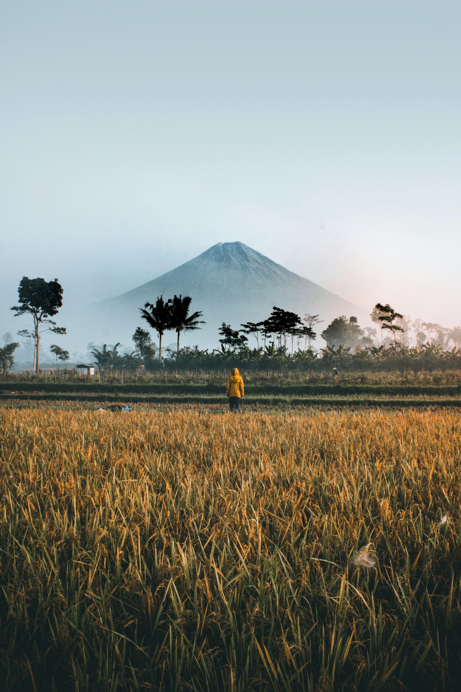 Meningkatkan Visibilitas Online Bisnis Anda dengan Ahli SEO Indonesia